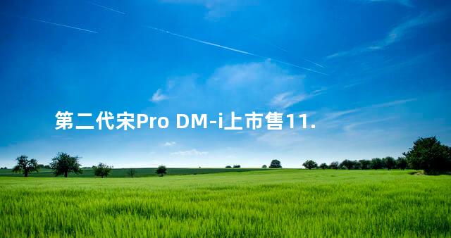 第二代宋Pro DM-i上市售11.28万起